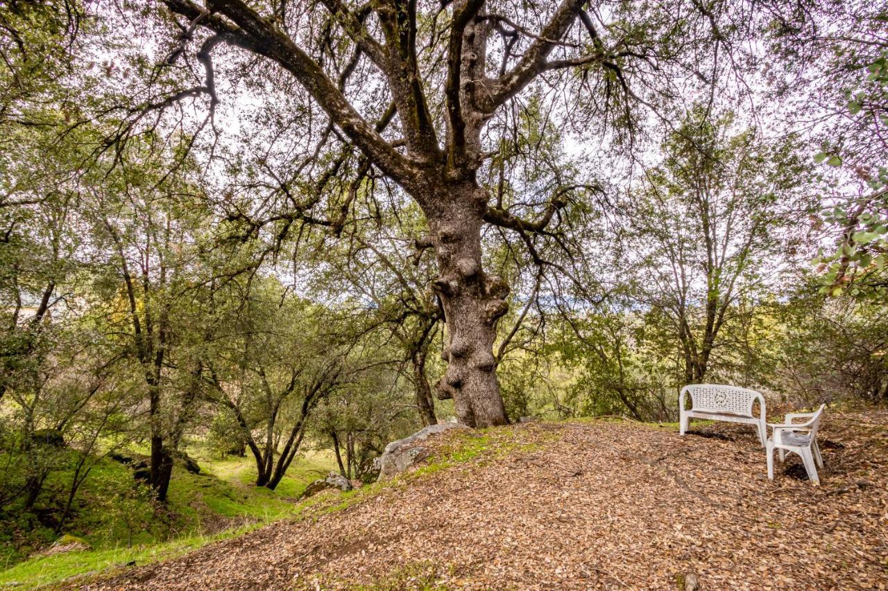 Spectacular Views W/ Hot Tub/Bbq -Yosemite & Bass Lake Villa Oakhurst Exterior foto